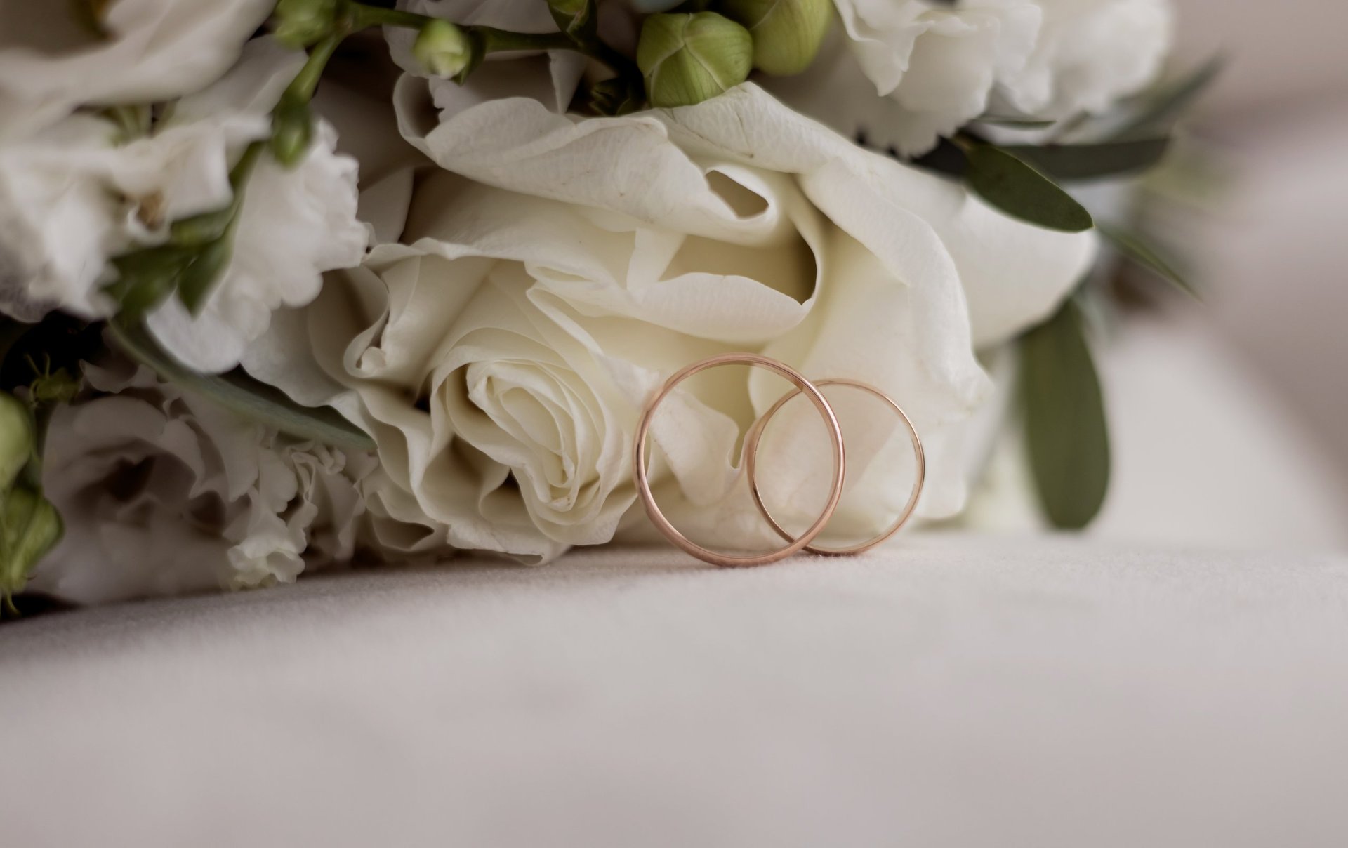 A stylish festive table setting with wine glasses, plates, green fabric napkins, and floral decorations illuminated by natural sunlight