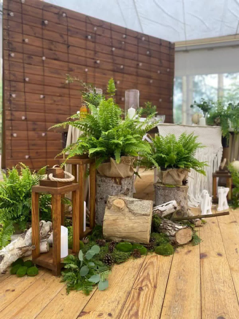 Potted green ferns and plants displayed on wooden surfaces with log slices and decorative wooden ladder against a brick wall in a modern garden setting